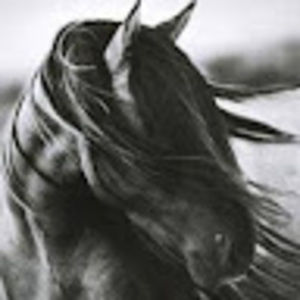 Meet your Posher, Beckie